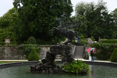 DSC_6109 (Large).JPG